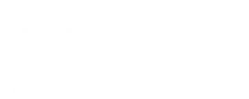 A white background with a few lines on it