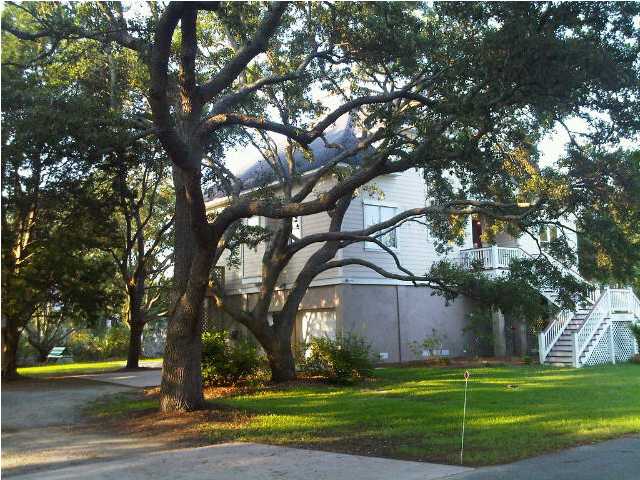 house with large tree