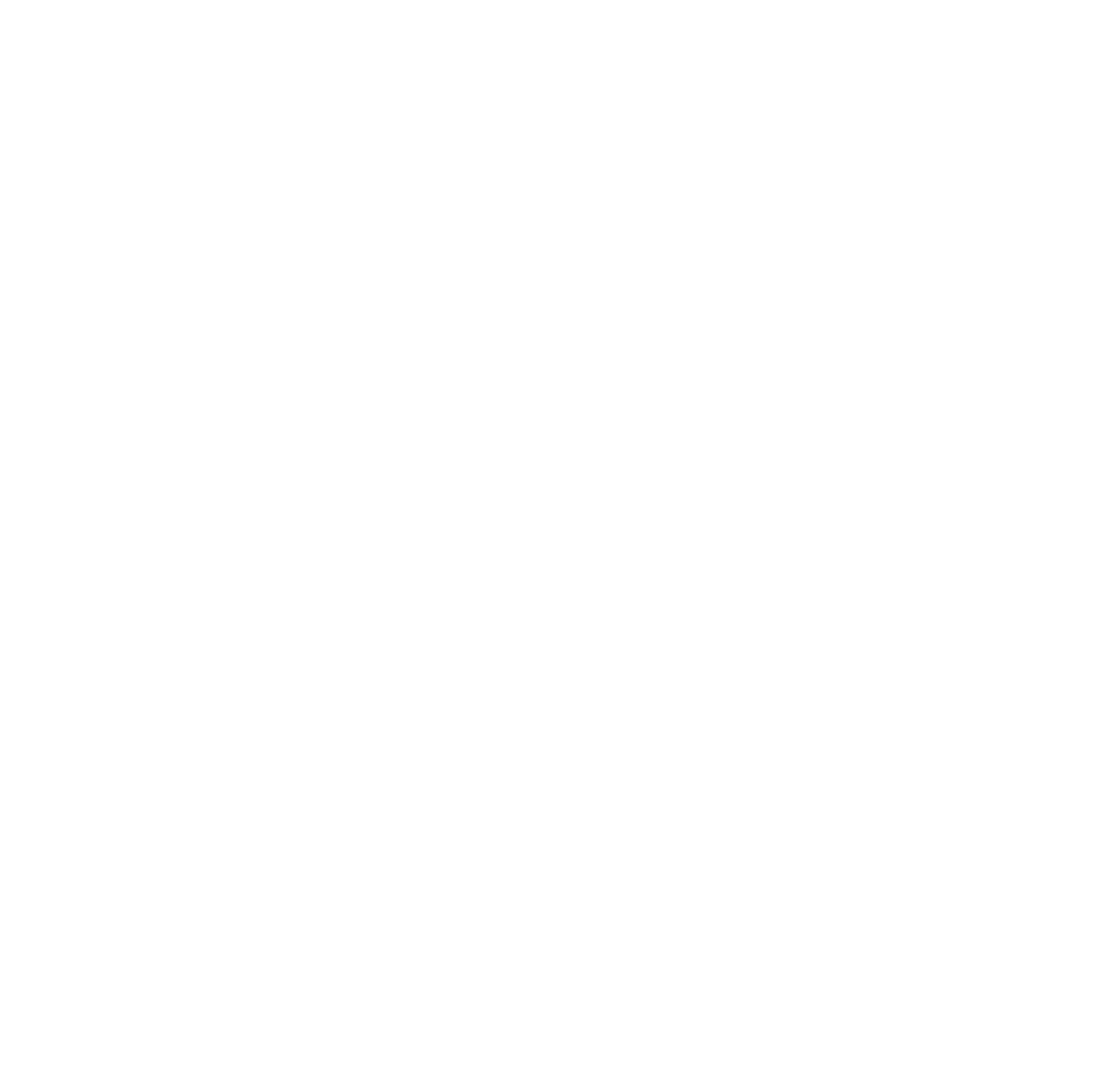 SK Quality Solutions Logo white