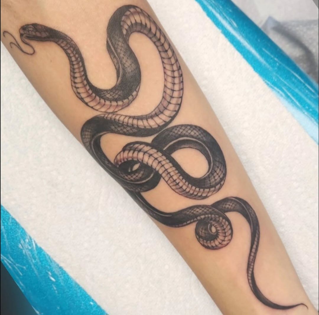 Black snake tattoo winding on an arm.