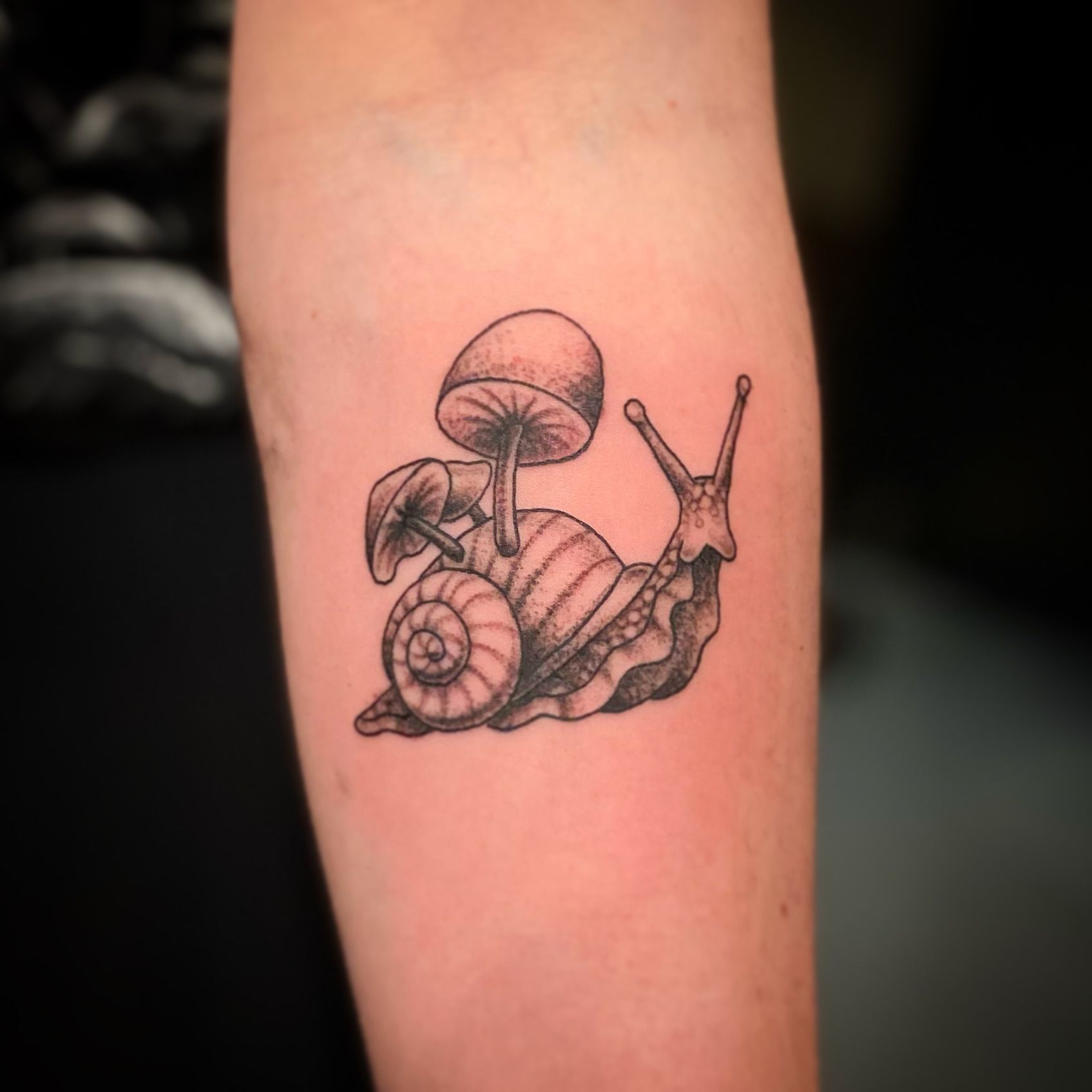 A black and white snail tattoo with mushrooms on the arm. Unique realism tattoo from a downtown Raleigh tattoo artist.