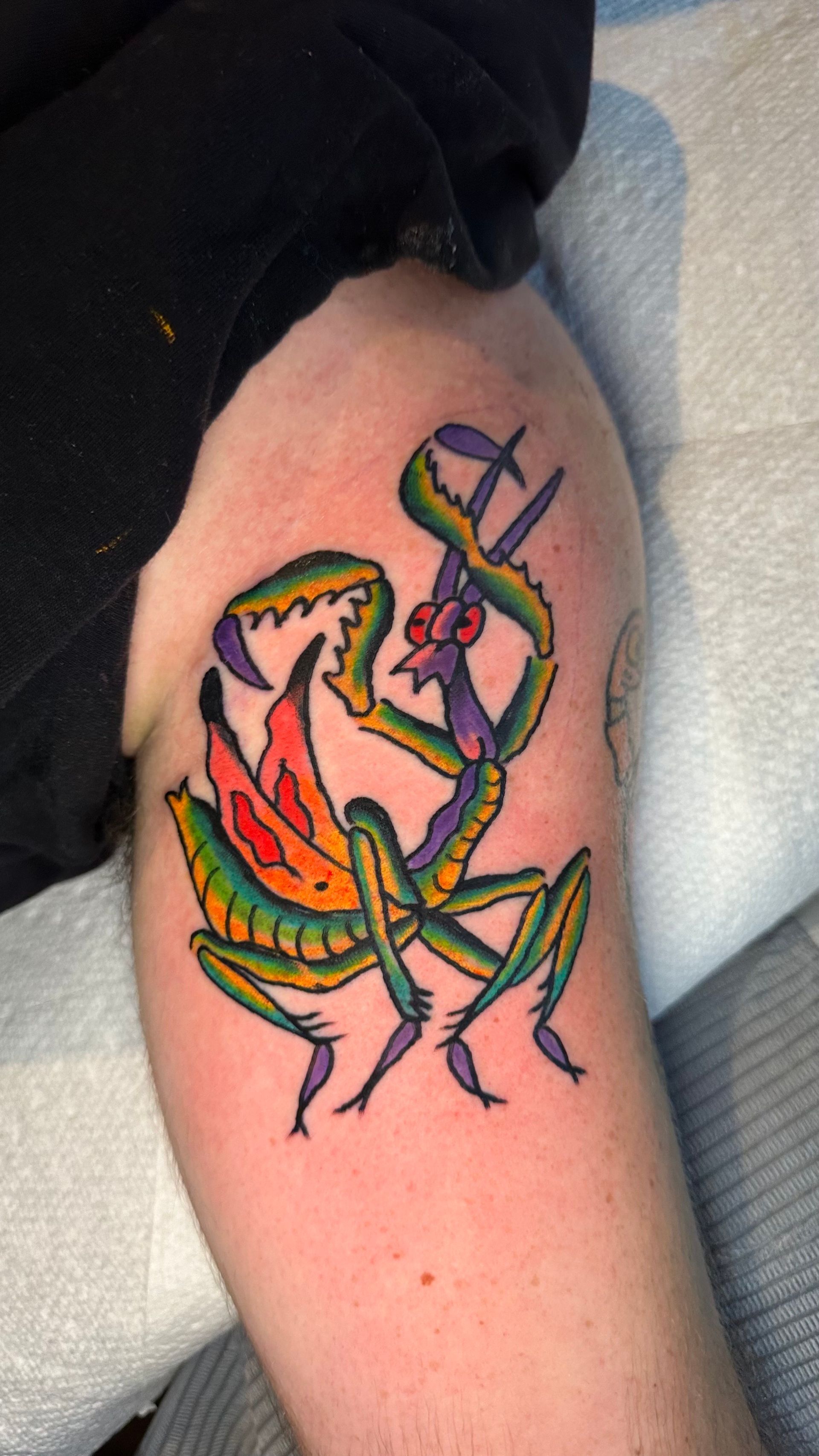 Colorful tattoo of a praying mantis with vibrant wings on a person's arm.