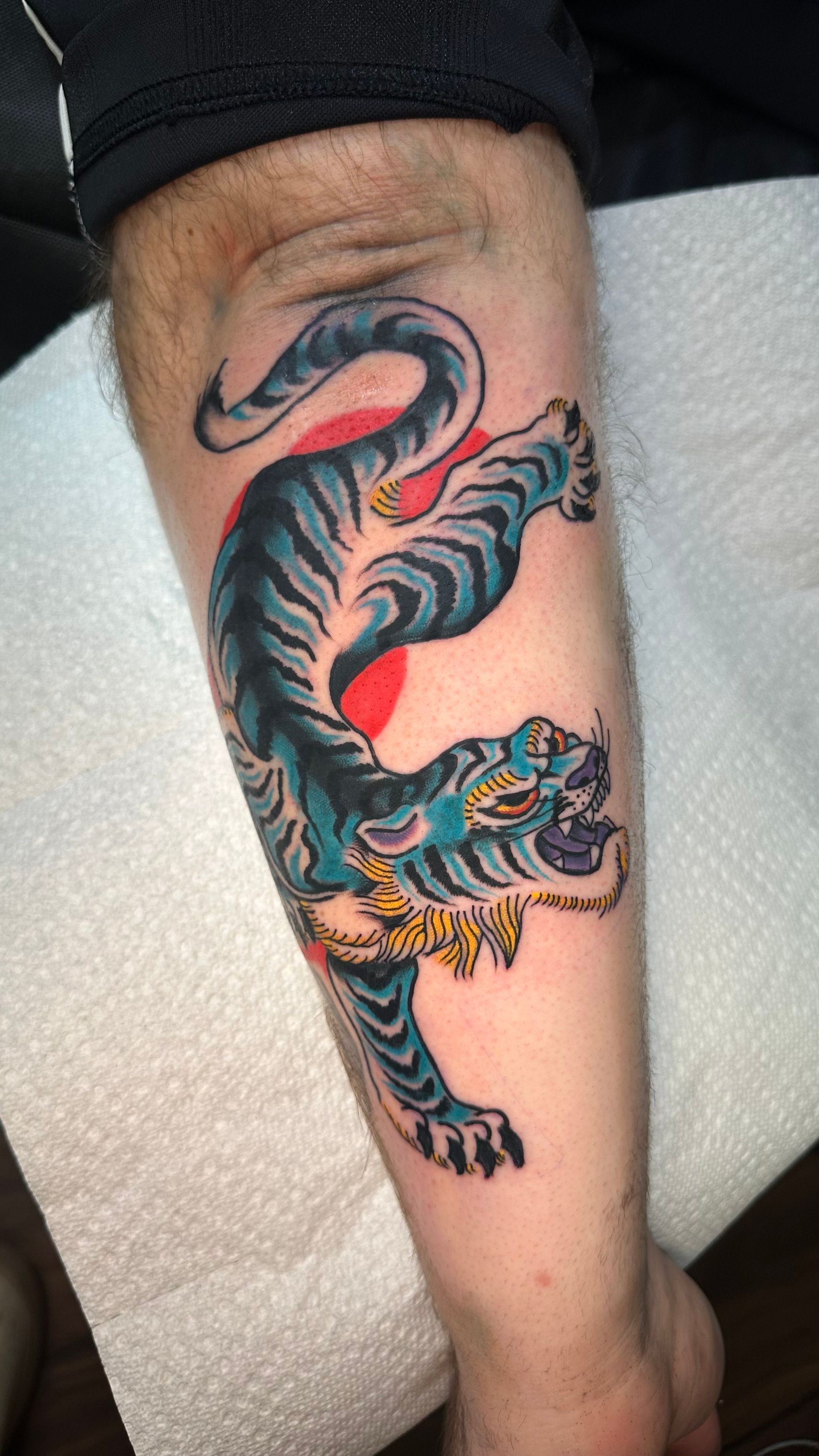 Blue tiger tattoo with a red sun, on a forearm.