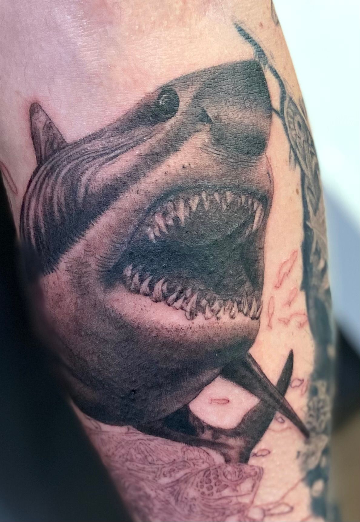 Realistic black and grey shark tattoo on the arm, done by a tattoo artist in Raleigh NC.