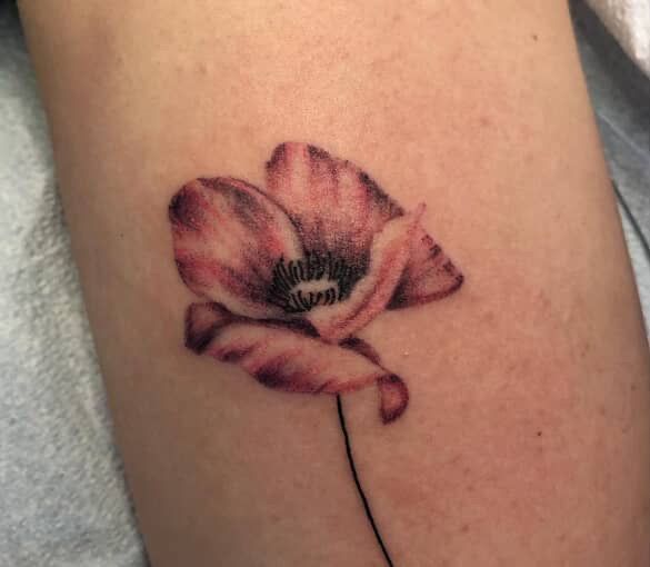 A reddish-pink poppy flower tattoo on a light-skinned arm.