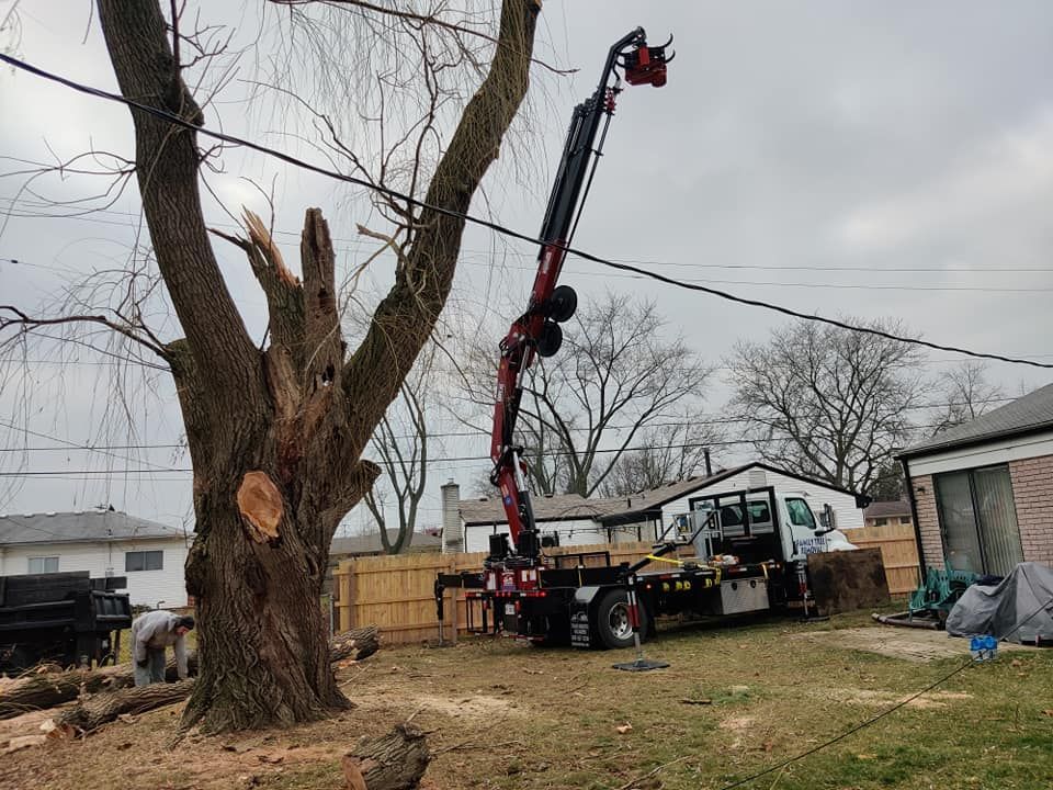 A crane is cutting down a tree in a backyard.