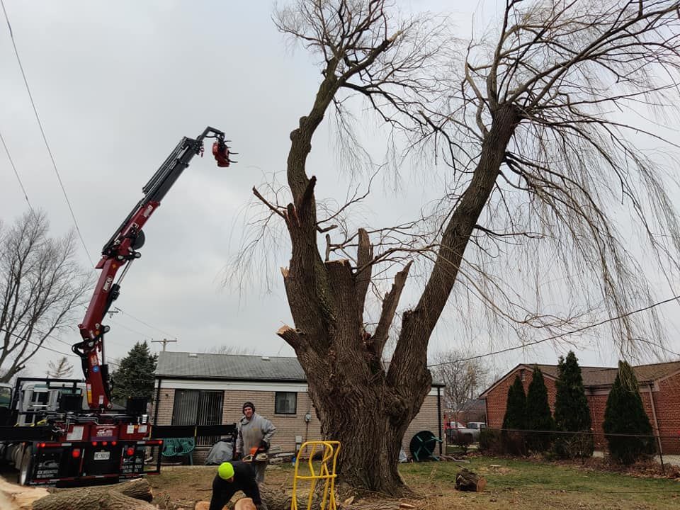 A man is cutting down a tree with a crane in the background.