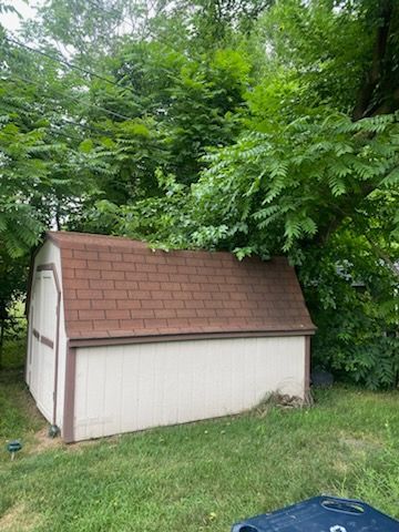 A white shed with a brown roof is surrounded by trees in a yard.