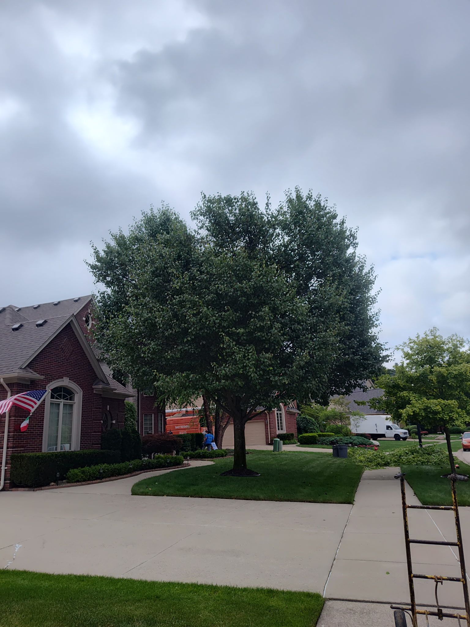 A tree in front of a house with a cloudy sky in the background.