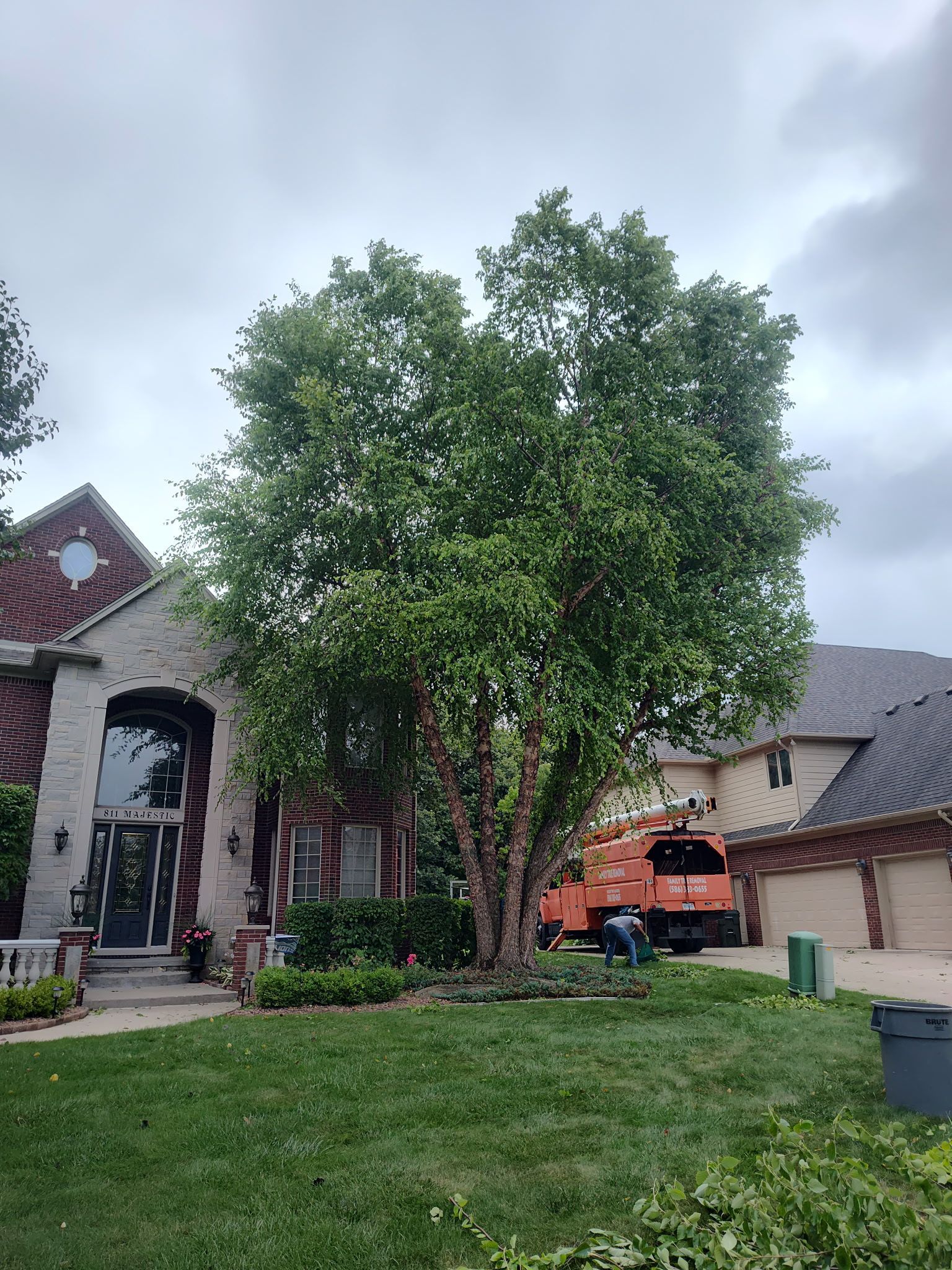 A large tree is in front of a large house.