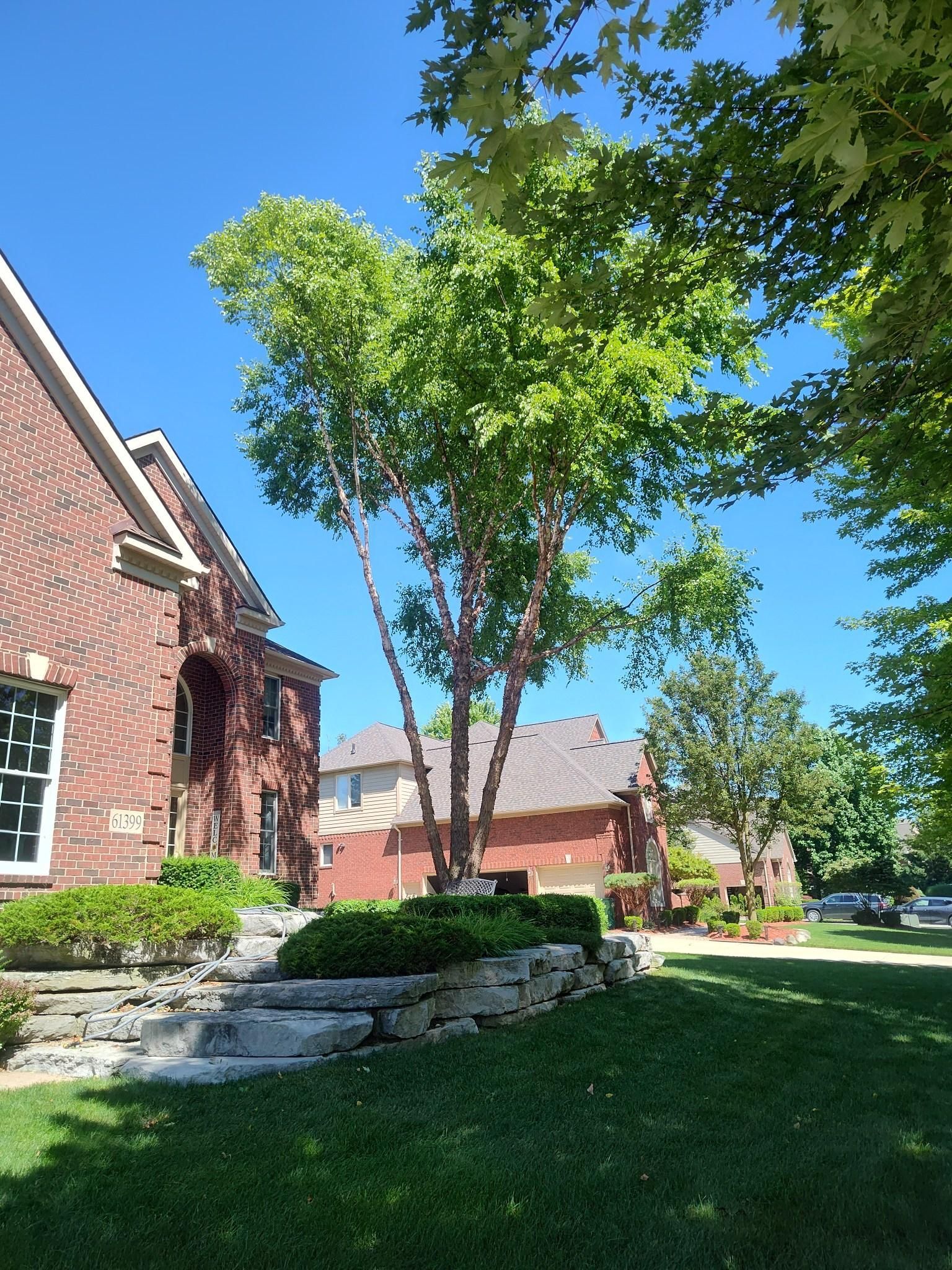 A brick house with a large tree in front of it