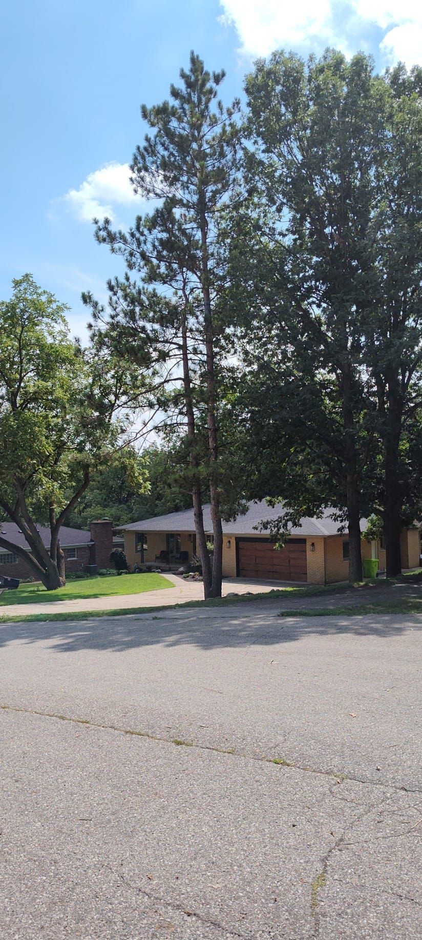 A house is nestled among trees on a sunny day.