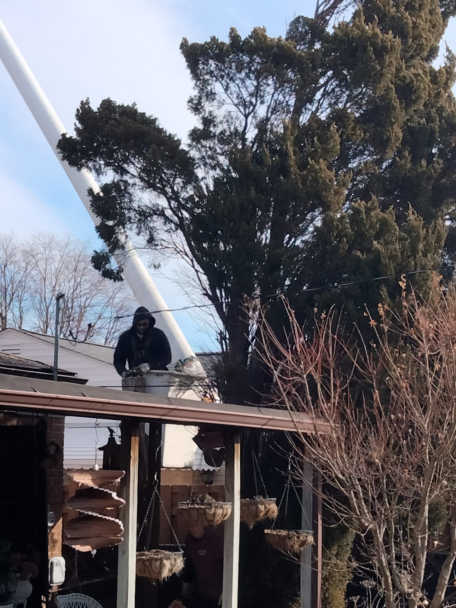 A man is standing on the roof of a building with trees in the background