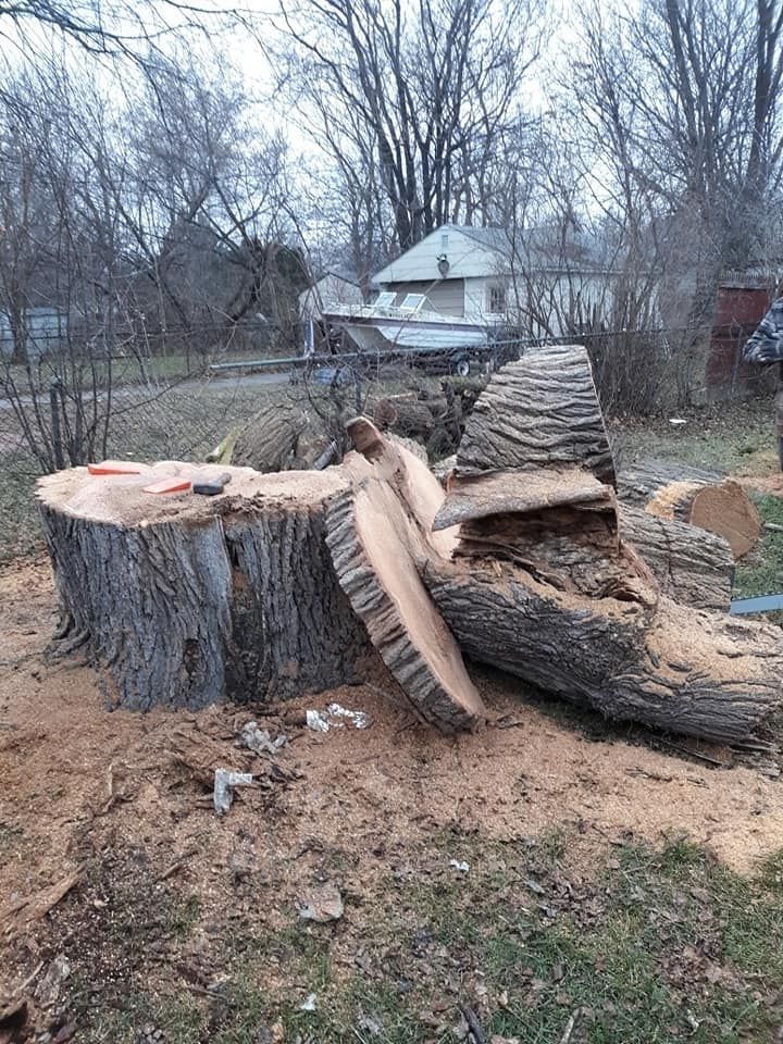 A tree stump is sitting on top of a pile of wood in a yard.