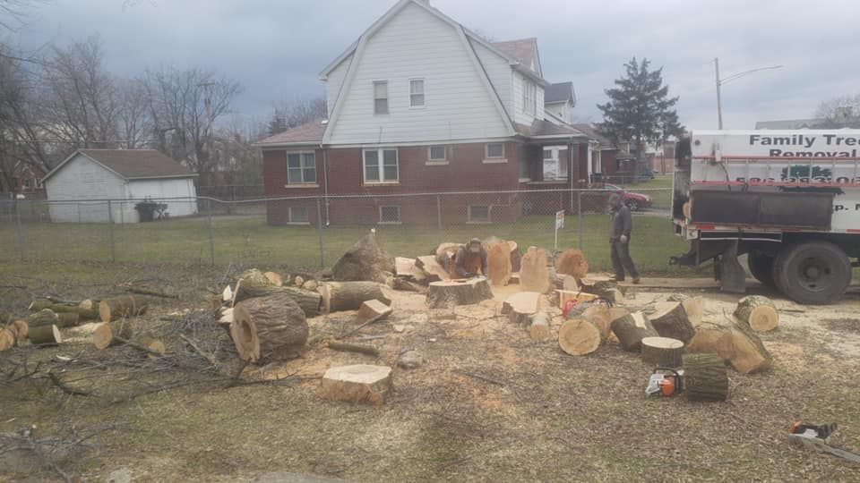 A large pile of logs is sitting in front of a house.
