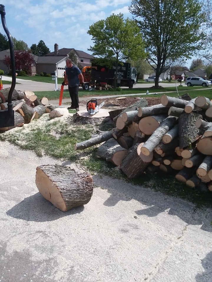 A man is cutting a tree with a chainsaw in a driveway.