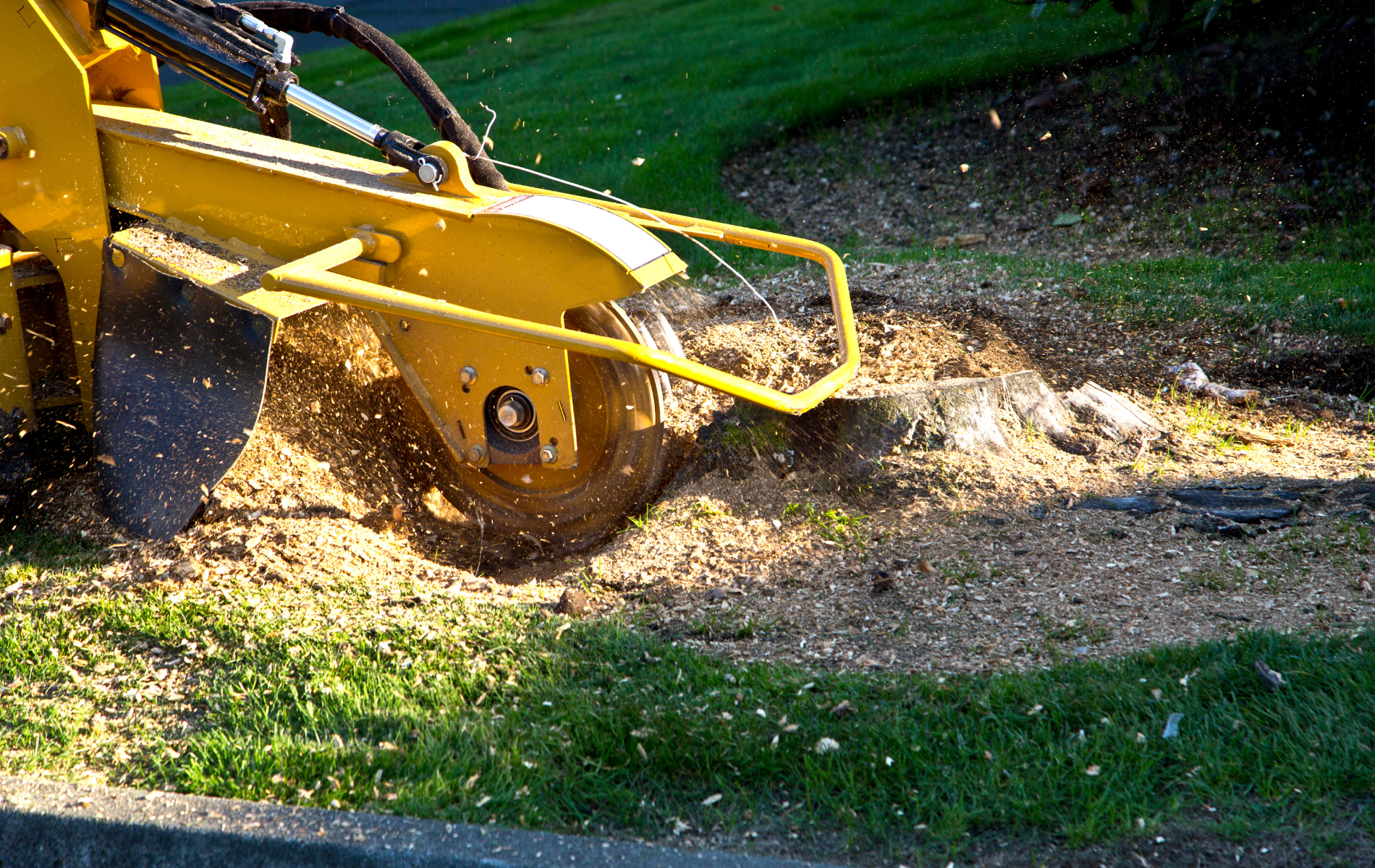 A yellow stump grinder is cutting a tree stump in the grass.
