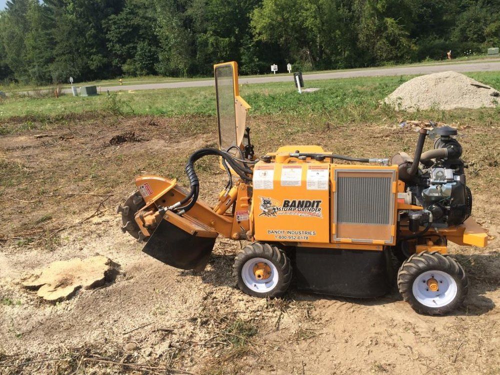 Yellow Bandit stump grinder grinding a tree stump in a dirt field.