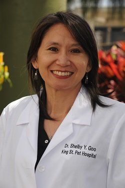 About Dr. Shelby Goo