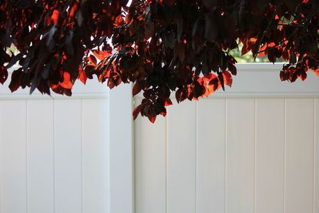 a color white full wood fence