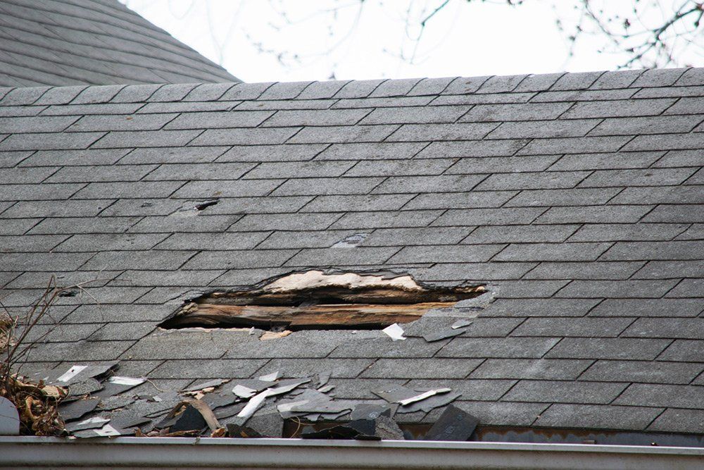Roof damage in Muskegon, MI area