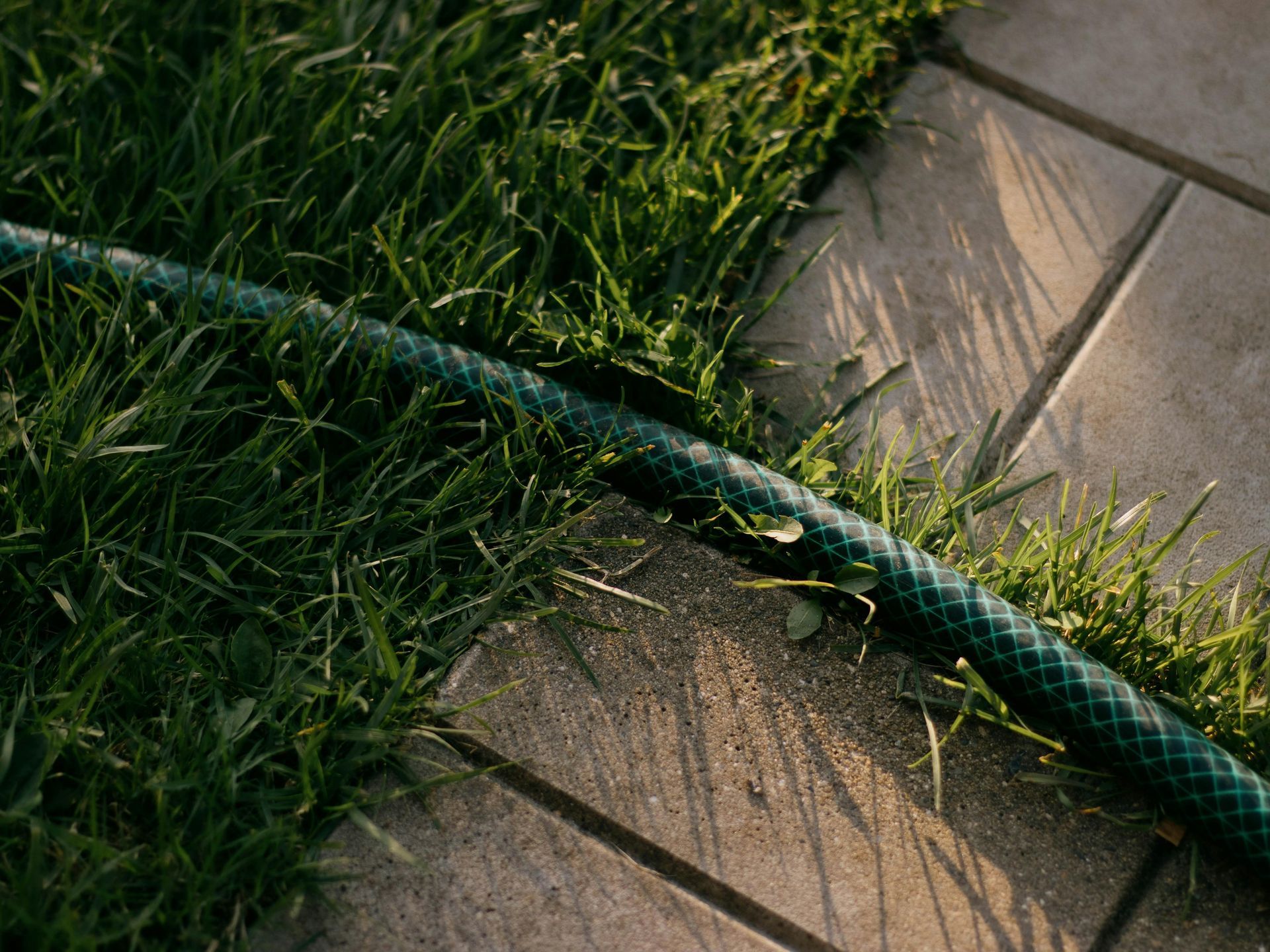 Green garden hose lying across grass and a stone patio in sunlight
