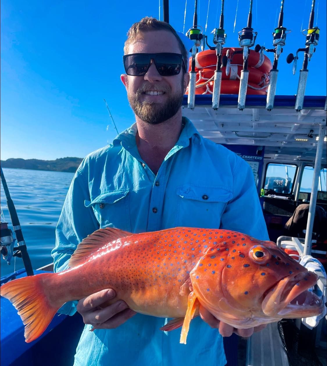 A Man is Holding a Large Red Fish on a Boat — Whitsunday Fishing Charters In Airlie Beach, QLD