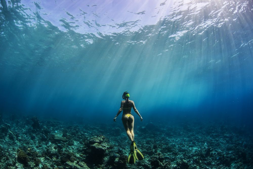A Woman is Swimming in the Ocean Without a Shirt on — Whitsunday Fishing Charters In Airlie Beach, QLD