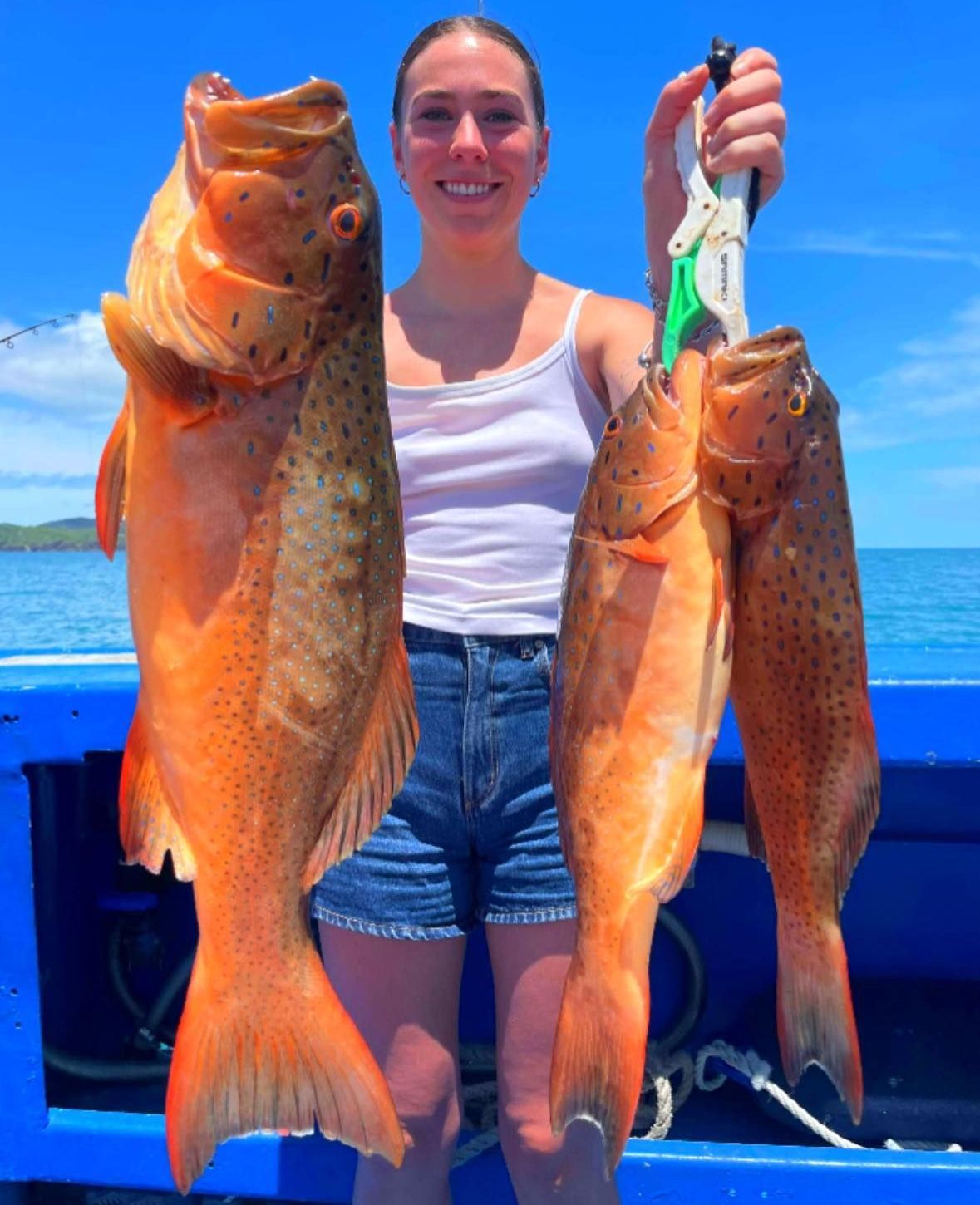 A Woman is Holding Three Fish in Her Hands on a Boat — Whitsunday Fishing Charters In Airlie Beach, QLD