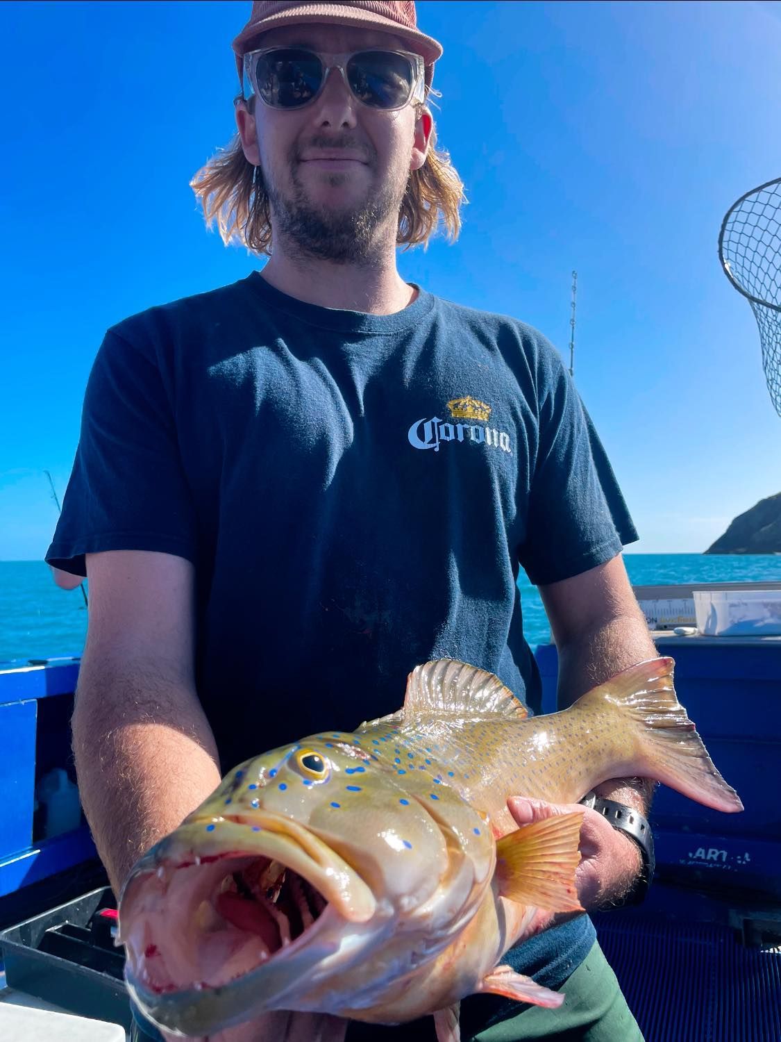 A Man in a Corona Shirt is Holding a Large Fish in His Hands — Whitsunday Fishing Charters In Airlie Beach, QLD