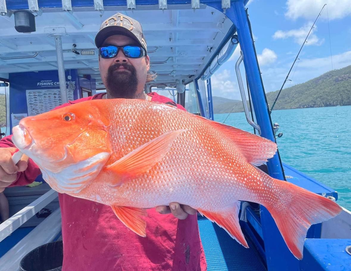 Man is Holding a Large Red Fish on a Boat — Whitsunday Fishing Charters In Airlie Beach, QLD