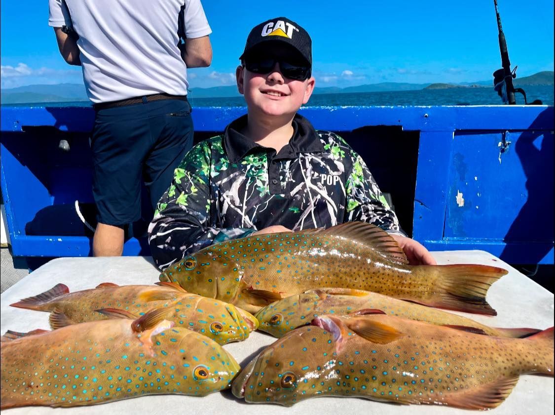 A Young Boy is Holding a Bunch of Fish on a Table — Whitsunday Fishing Charters In Airlie Beach, QLD