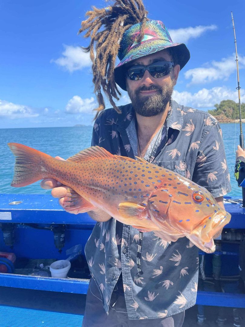 A Group of People Standing Around a Cooler Full of Fish — Whitsunday Fishing Charters In Airlie Beach, QLD