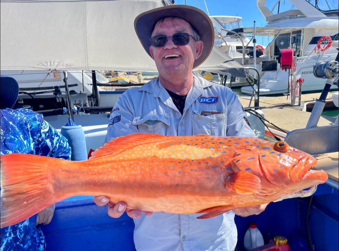 A Man is Holding a Large Red Fish in His Hands — Whitsunday Fishing Charters In Airlie Beach, QLD