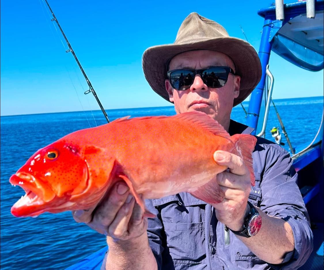 A Man Wearing a Hat and Sunglasses is Holding a Large Red Fish — Whitsunday Fishing Charters In Airlie Beach, QLD