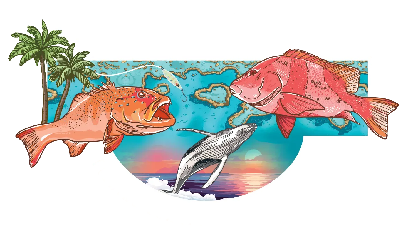 Fishing Charters in the Whitsunday Region