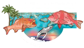 Fishing Charters in the Whitsunday Region