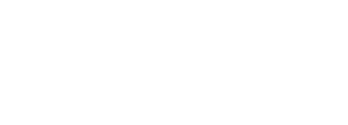 Phileo Advisory Group
