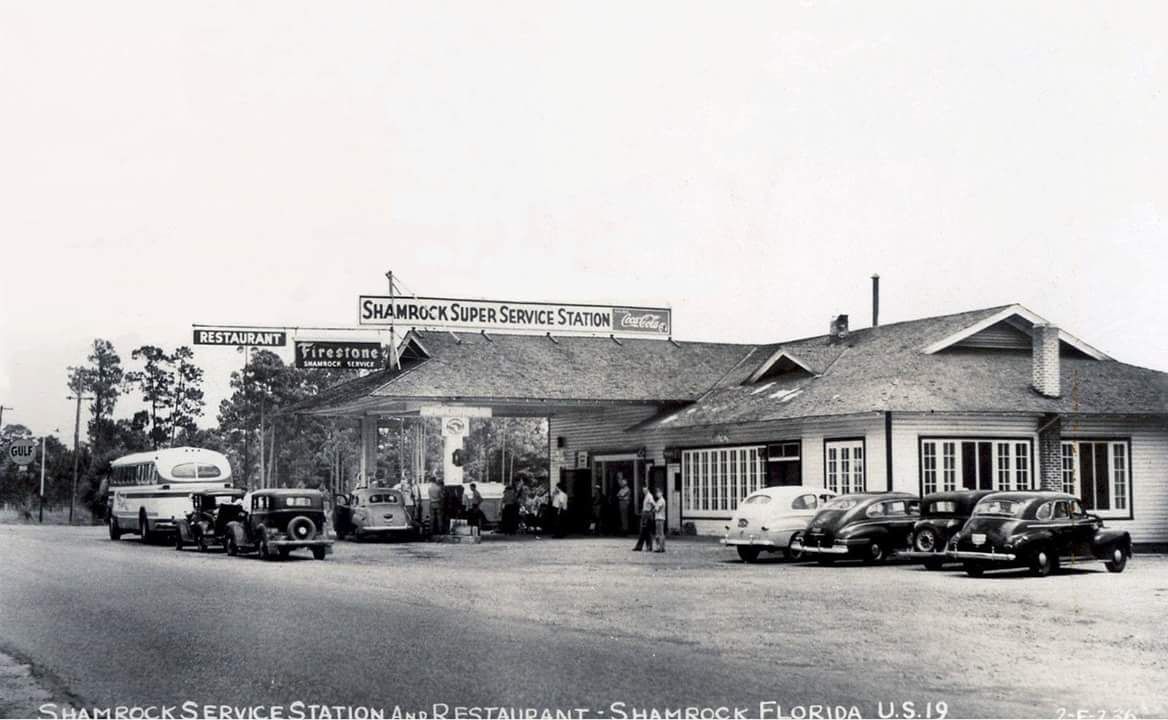 A close up of a palm tree leaf with a blue sky in the background