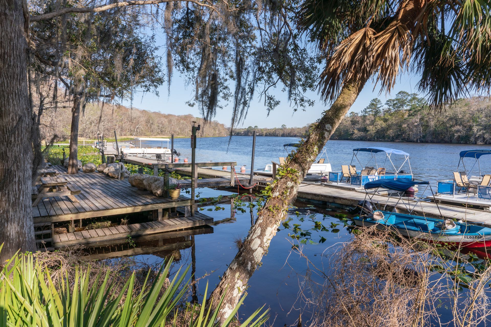 Camping in Dixie County: Best Locations for Outdoor Adventures