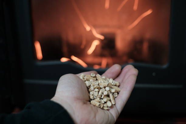 A man is kneeling down in front of a fireplace in a living room.