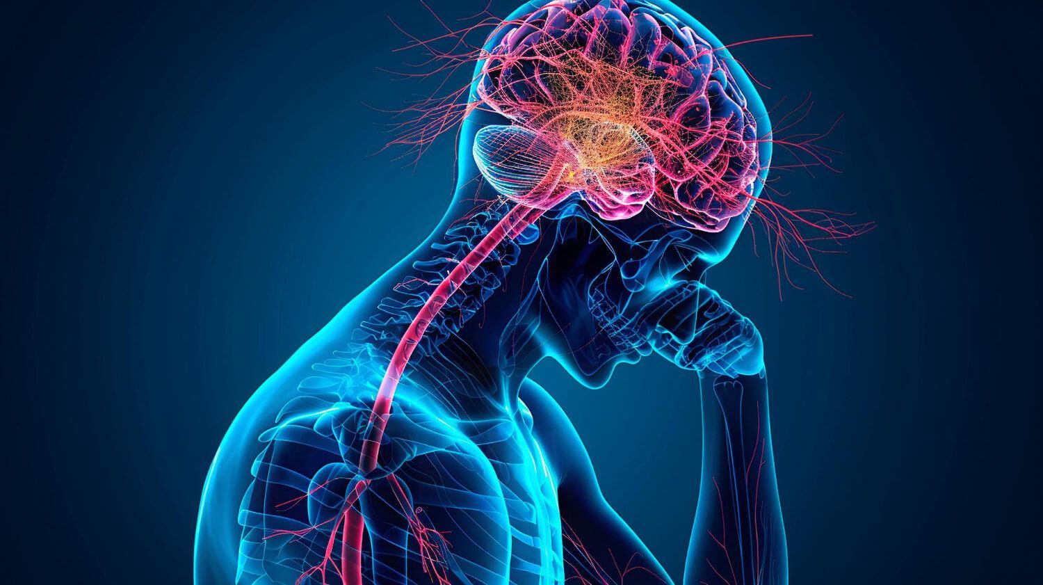 Digital anatomical illustration showing human nervous system with highlighted brain and spinal cord connections in blue and red against dark background