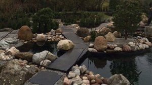 Ponds and water features