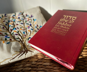 Tallit bag with prayerbook
