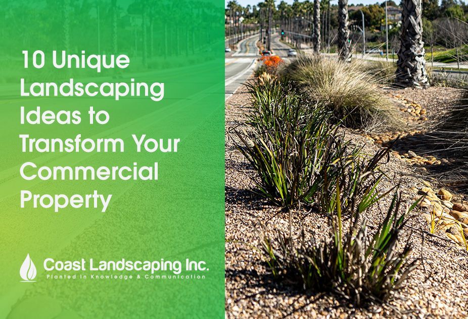 10 unique landscaping ideas to transform your commercial property