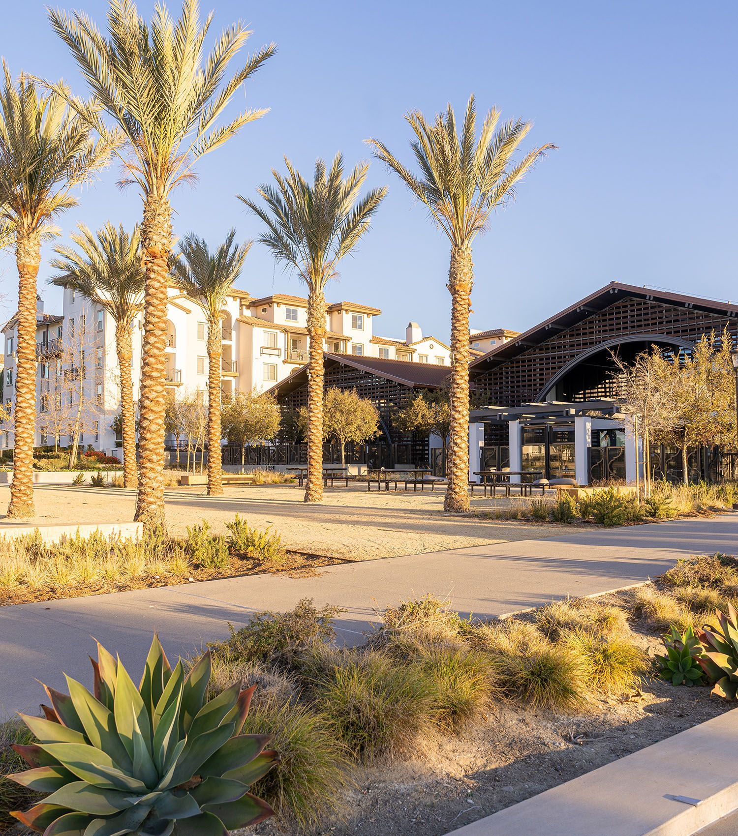 A row of palm trees in front of a building in a park.