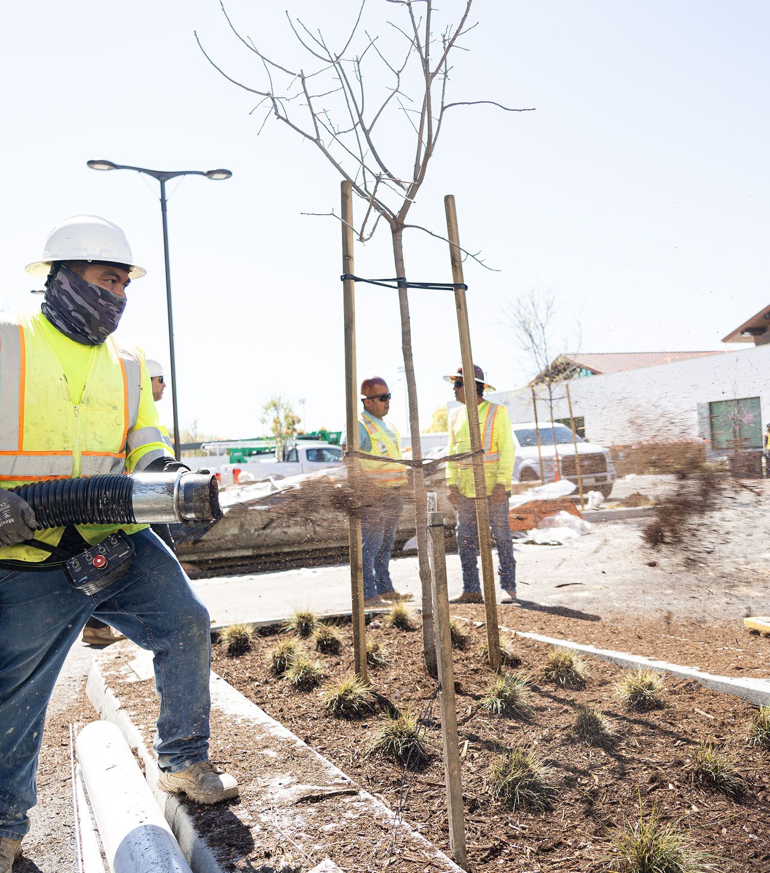 A man wearing a hard hat and safety vest is standing next to a tree.