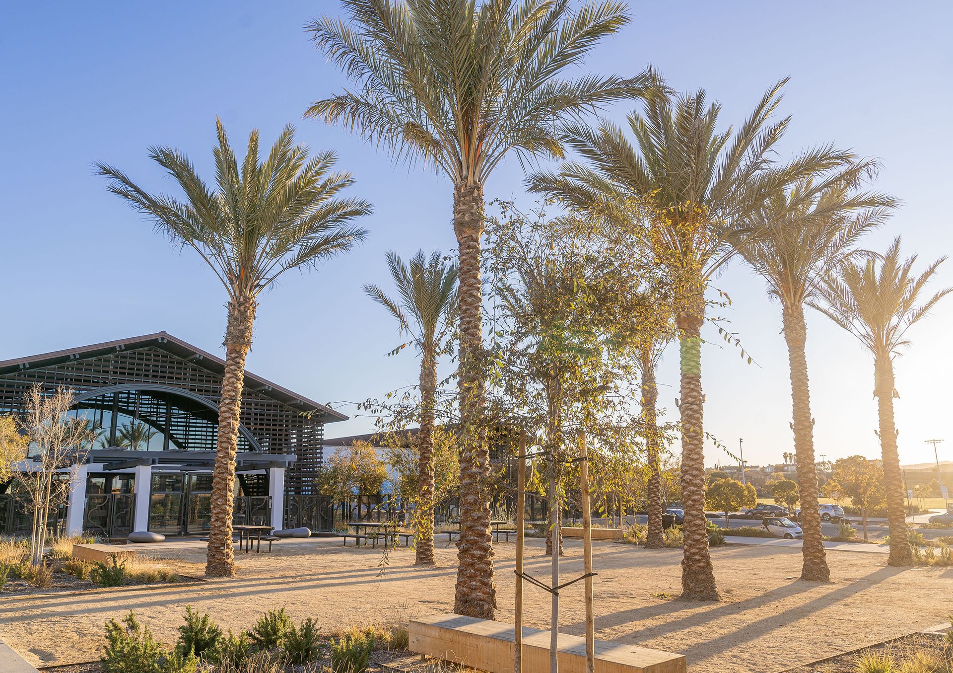 A row of palm trees in front of a building.