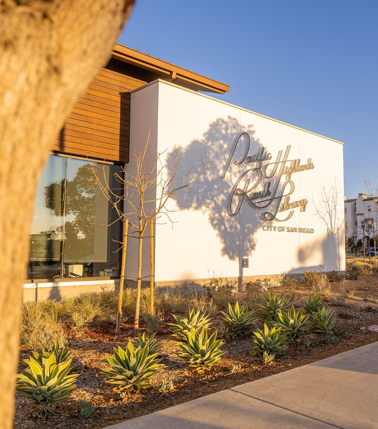 A white building with a tree in front of it.