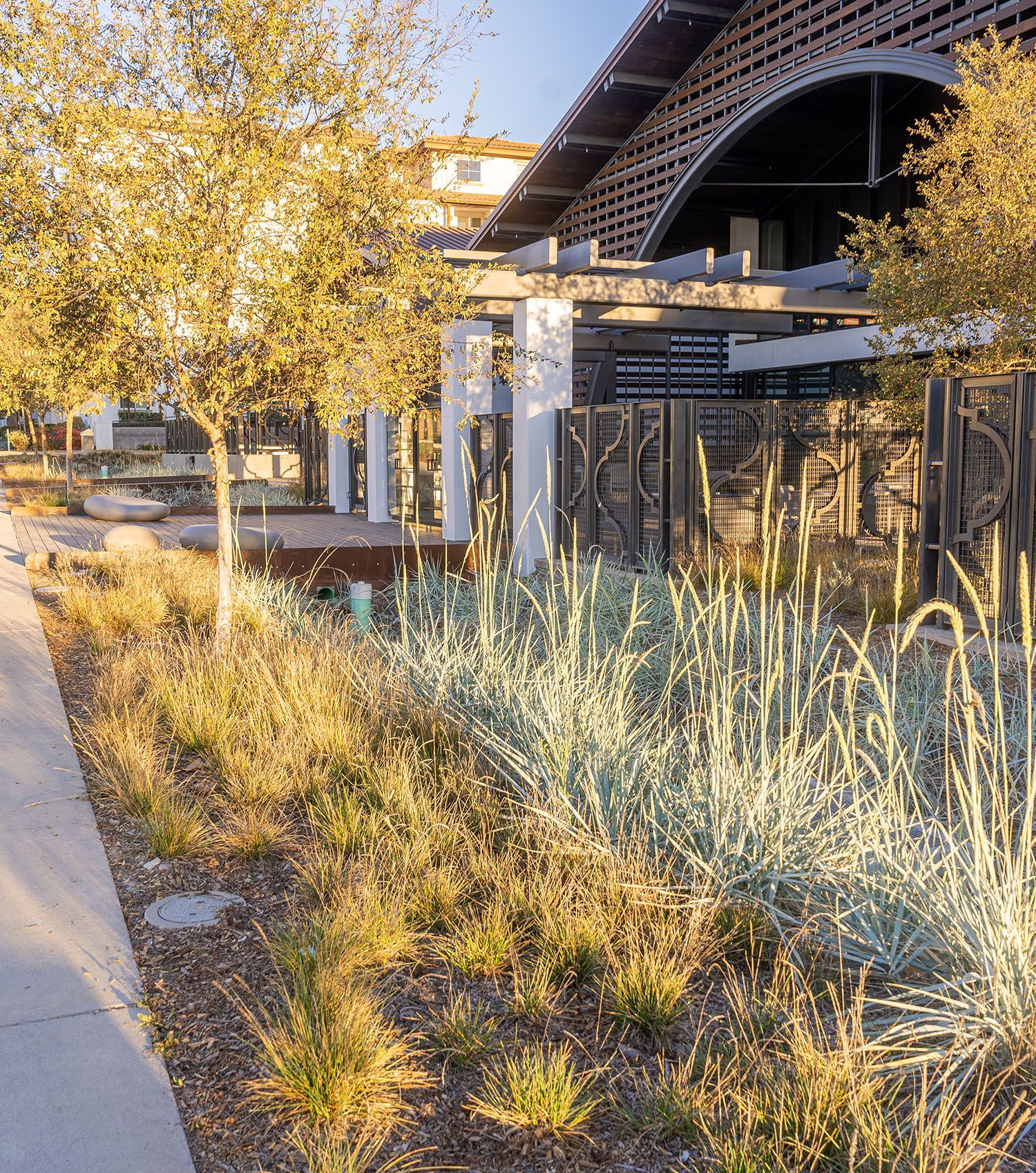 A sidewalk leading to a building surrounded by trees and grass